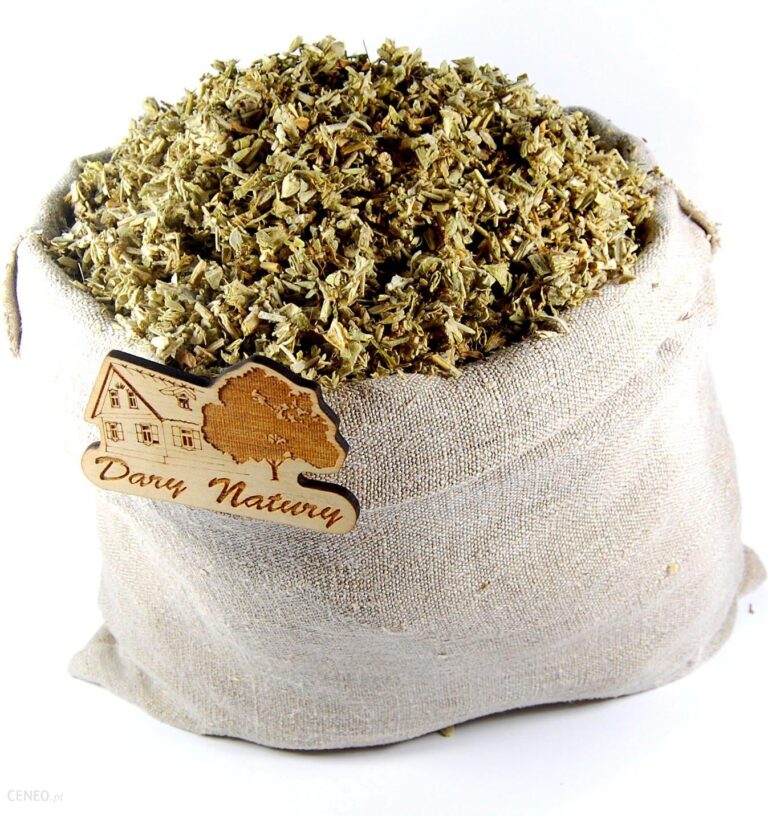 Gojnik Ziele Eko Herbata 50g Dary Natury