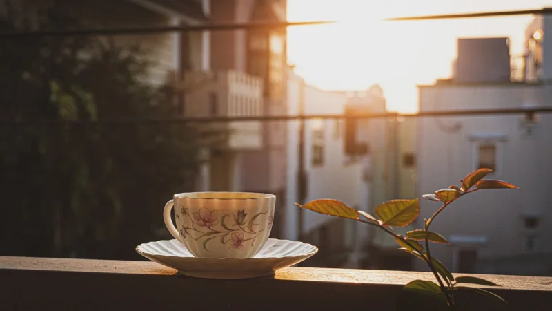 Adios Ayer Tea 100g