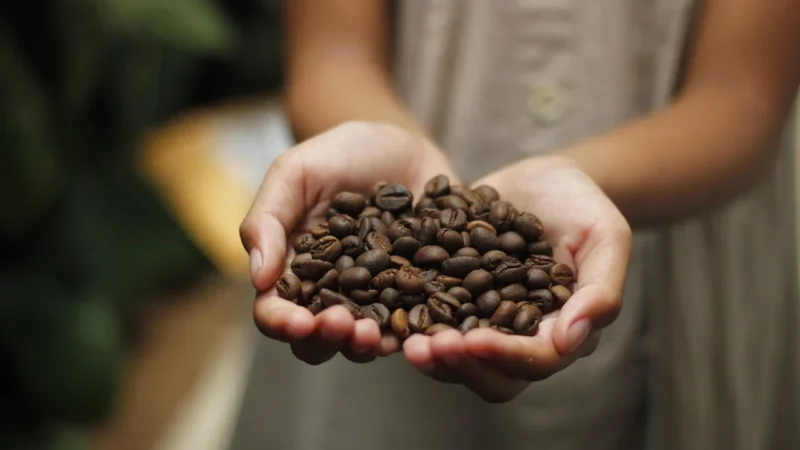 Arkom Kawa Naturalna Arabica Honduras Geisha 1kg