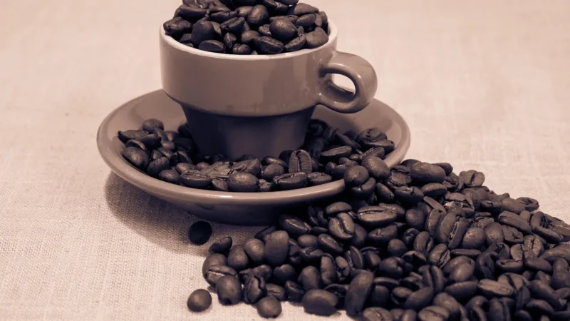 Arkom Kawa Ziarnista Arabica Brazylia Bourbon 50g