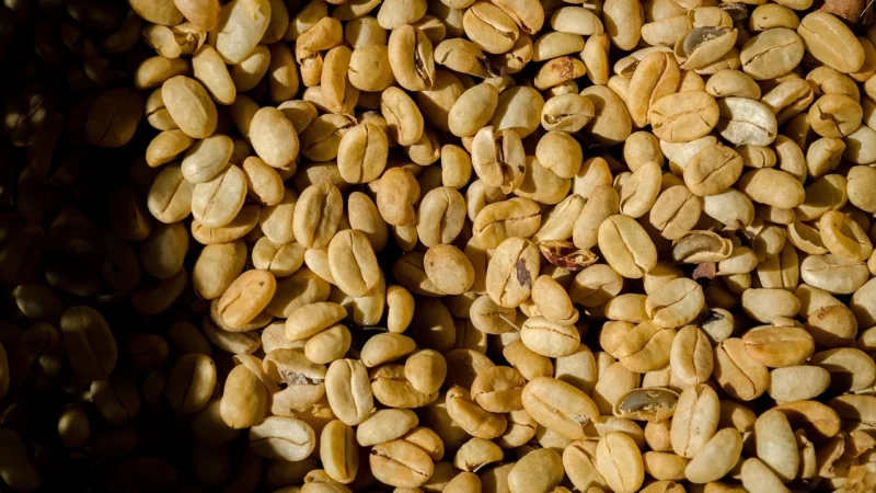 Arkom Kawa Ziarnista Arabica Brazylia Santos 100g
