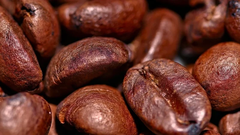Arkom Kawa Ziarnista Arabica Jamajka Blue Mountain 500g