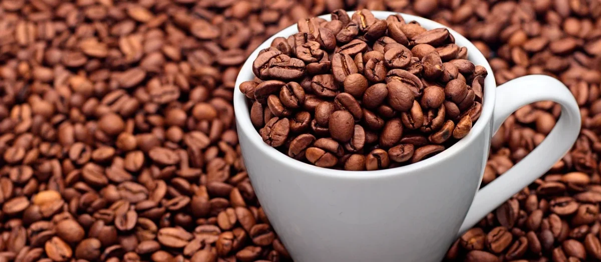 Baumgart Kawa Świeżo Palona Etiopia Sidamo 200g