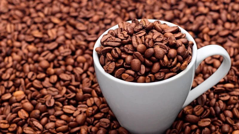 Baumgart Kawa Świeżo Palona Etiopia Sidamo 200g