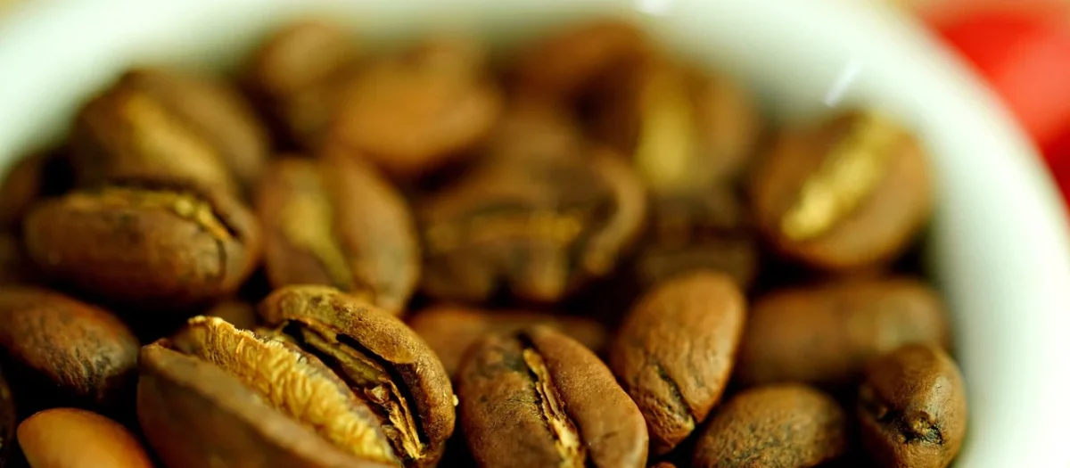 Baumgart Kawa Świeżo Palona Etiopia Sidamo 200g