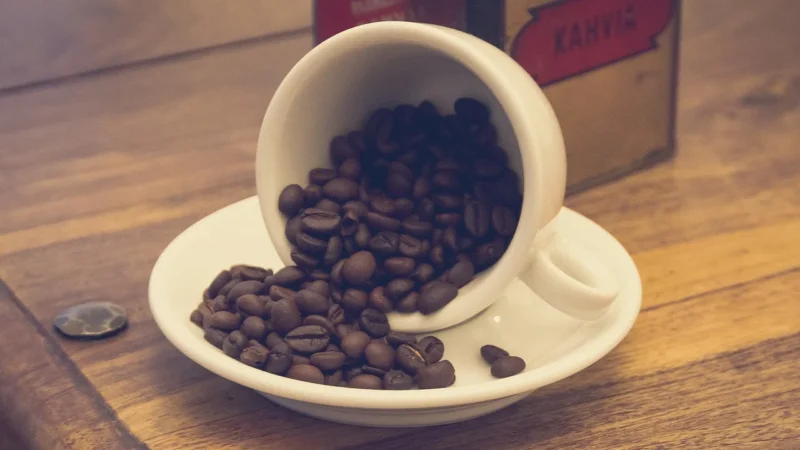 Blue Orca Coffee Kawa Columbiana Macaw Świeżo Palona Z Palarni 2kg