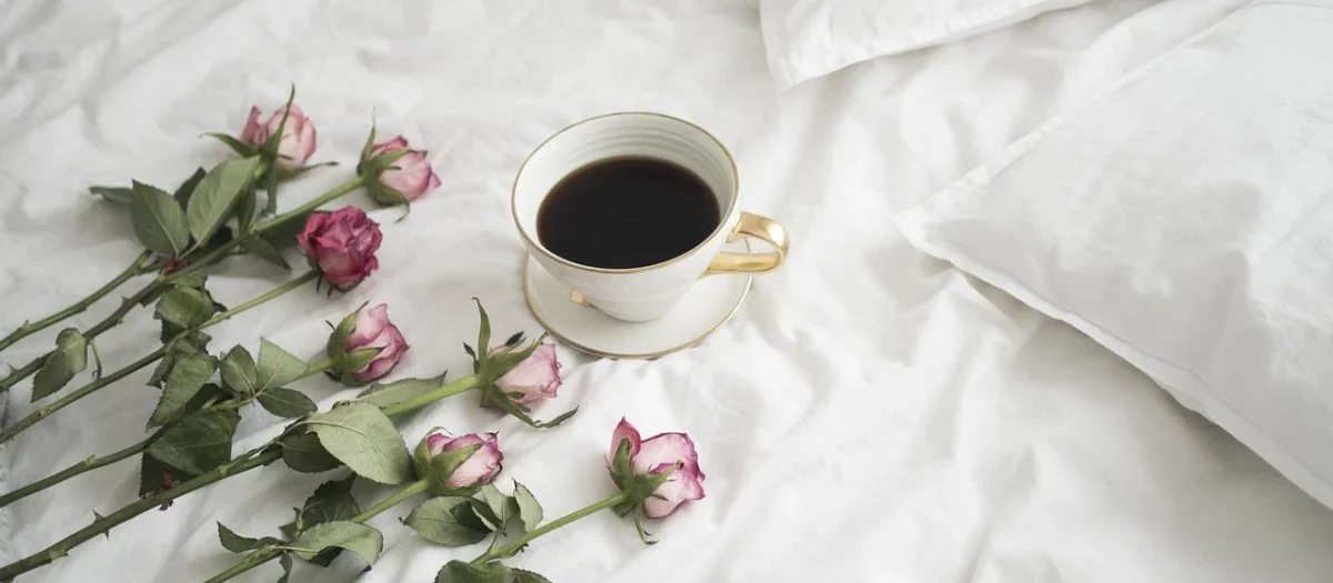 Brown House Tea Rosalba Czarna Herbata Z Płatkami Róży Nowa Receptura 40g