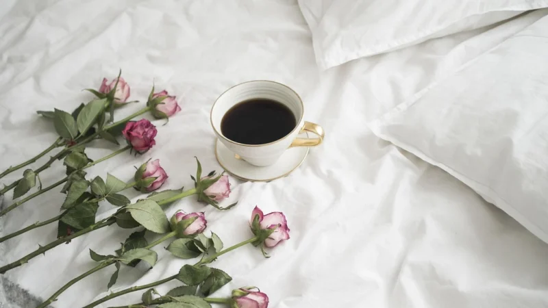 Brown House Tea Rosalba Czarna Herbata Z Płatkami Róży Nowa Receptura 40g