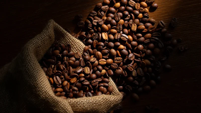 Cafe Michel kawa ziarnista z Meksyku BIO 500g