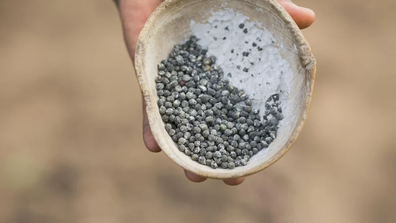 Cebador Zestaw Tykwa Alba do Yerba Mate Bombilla (9035)