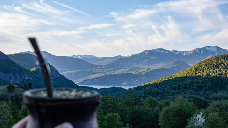 Cebador Zestaw Yerba Mate Green Energia 500g YERBOMOS (9084)