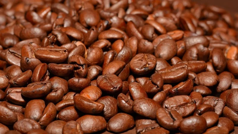 Corsini Kawa Mielona Brasile Santos 125g Puszka