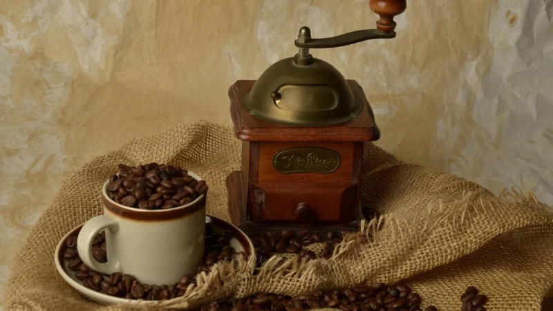 Cozaherbata Arabica Meksyk Maragogype Kawa Klasyczna 100g