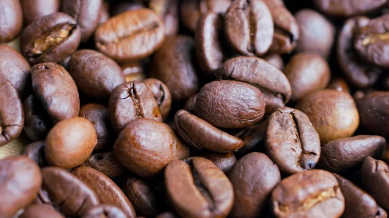 Czarna Kawka Czarnakawka Świeżo Palona Salvadorshg Peaberry 0,5
