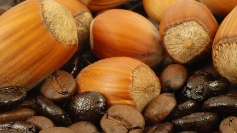 Czarna Kawka Orzech Laskowy Wanilia kawa świeżo palona 0,5kg