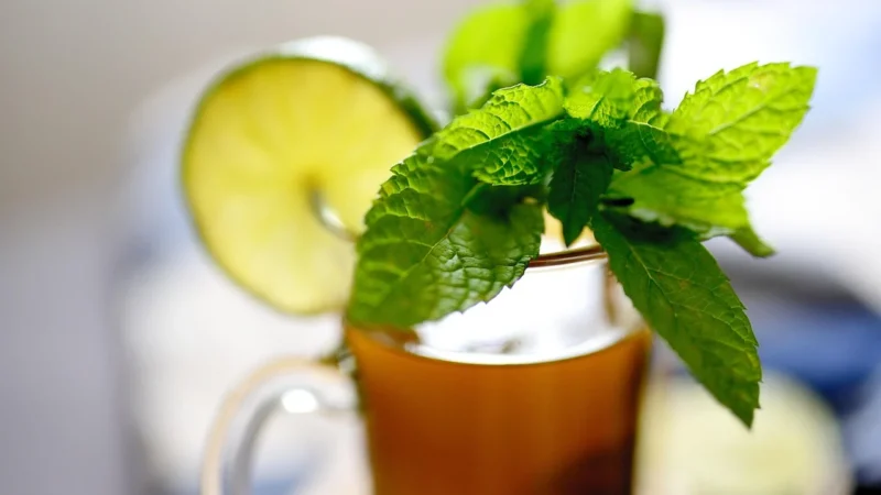 Dary natury Ekologiczna liofilizowana Herbatka Mięta z cytryną 25 g