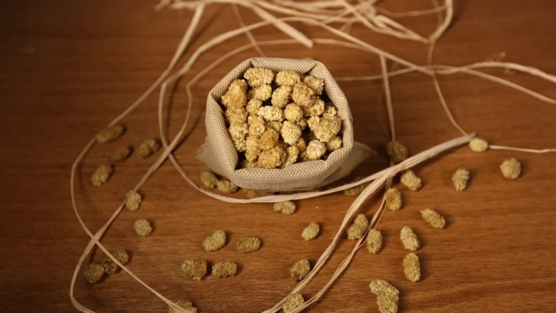 Dary Natury Herbatka Liść Morwy Białej Eko 50g