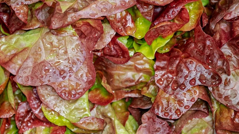 Gimoka Rosso 500g Ziarnista
