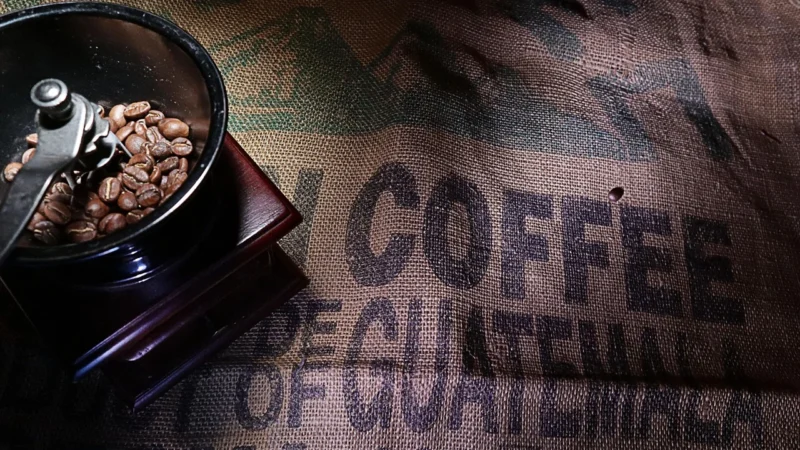 Gwatemala Kawa Mielona Świeżo Palona 100% Arabica
