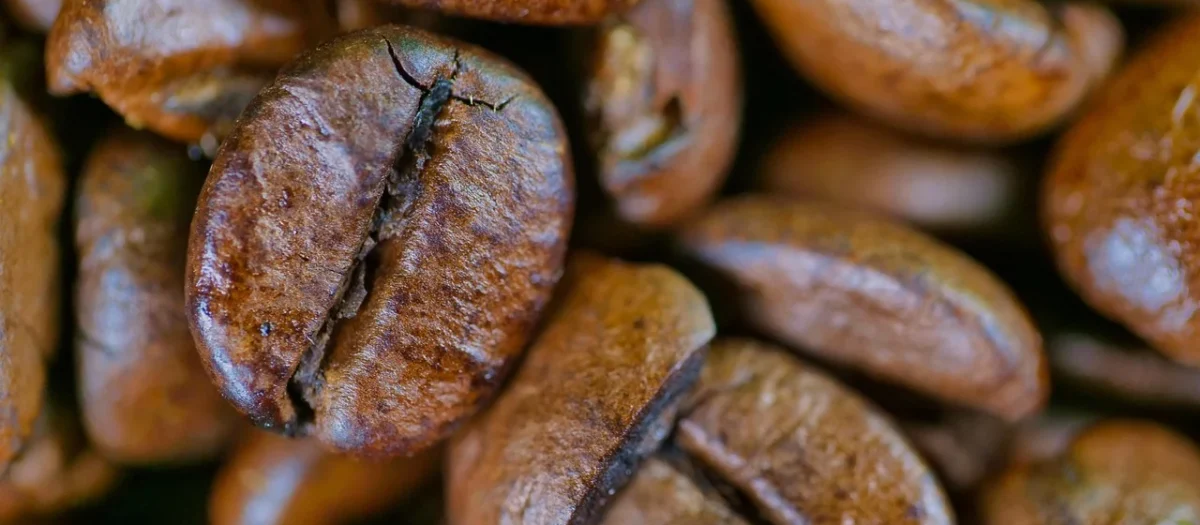 Gwatemala Kawa Ziarnista Świeżo Palona Arabica