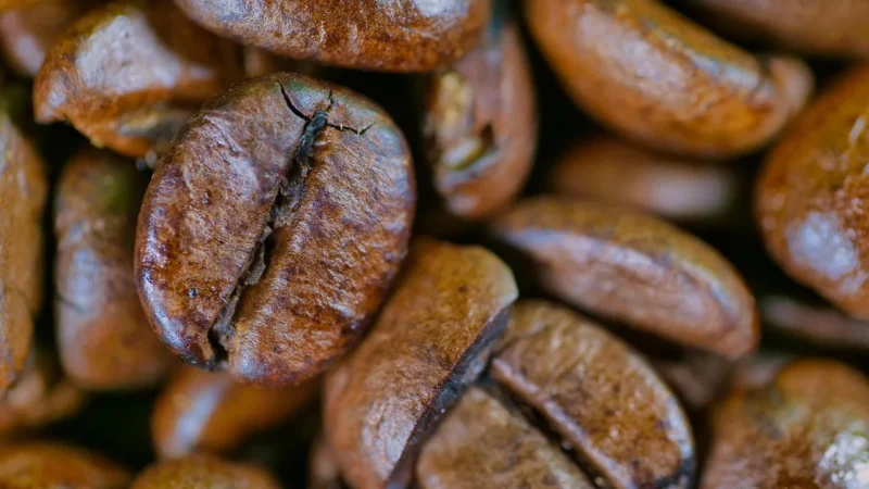 Gwatemala Kawa Ziarnista Świeżo Palona Arabica