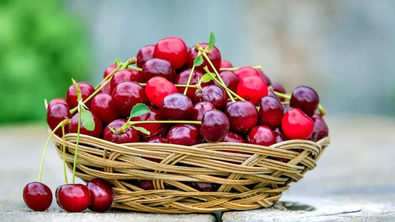 Herbata czerwona Wiśnia Chińska – 50g