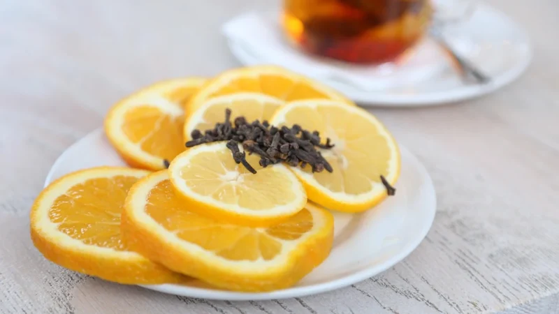 Herbata Dammann Freres Rooibos Citrus 100g