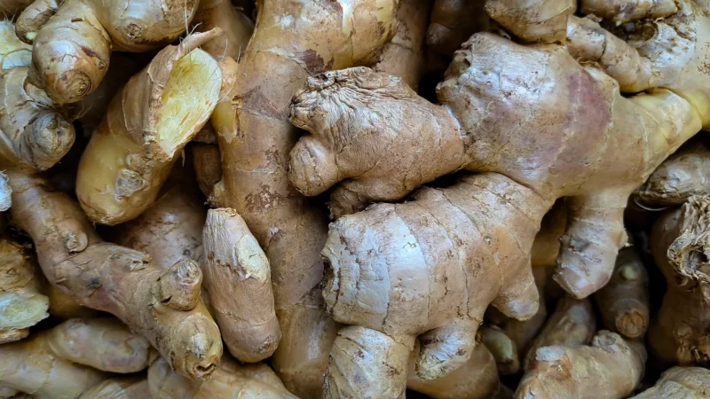Herbata darjeeling himalayan imbir i gruszka 1kg