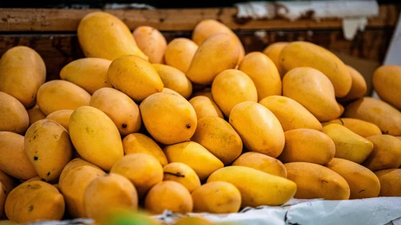 Herbata Owocowa Mango Blue 50g