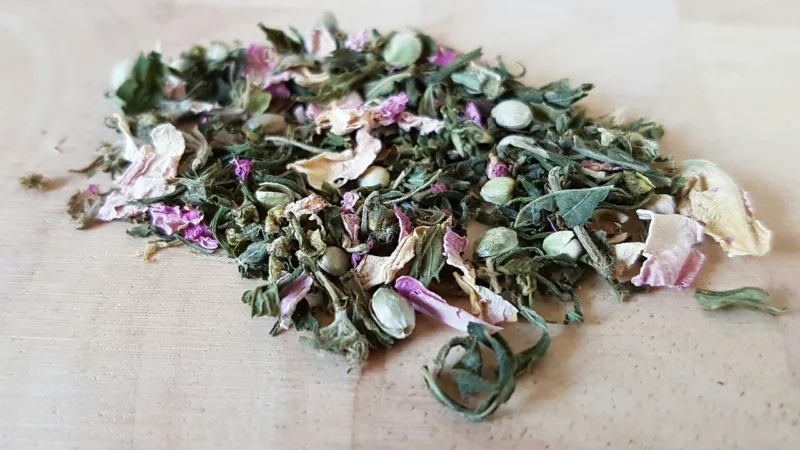 Herbata zielona china sencha anyżówka 100g