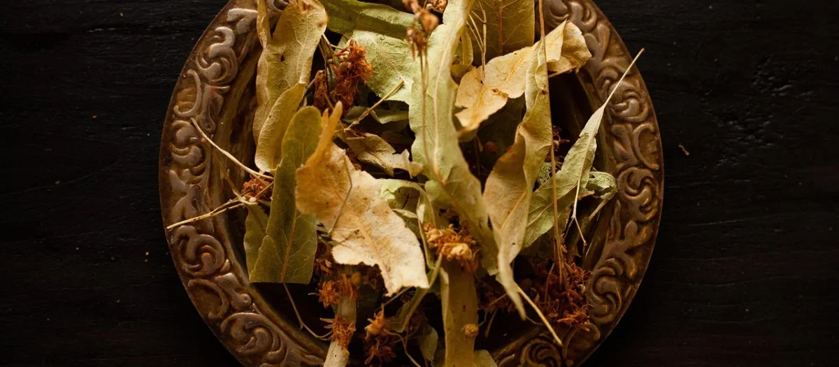 Herbatka Lipowa Malinowa Eko 80g