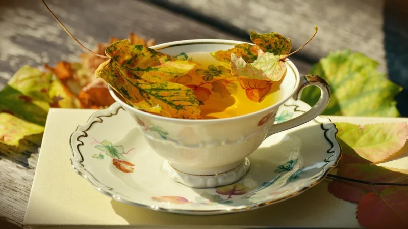 Herbaty Kusmi W Zestawie Earl Grey 24 Torebki