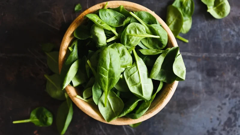 Horeca Surowce Płatki Teff Bio Surowiec 20 Kg 6
