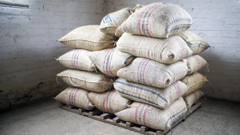 Indie Świeżo Palona Monsooned Malabar 1kg