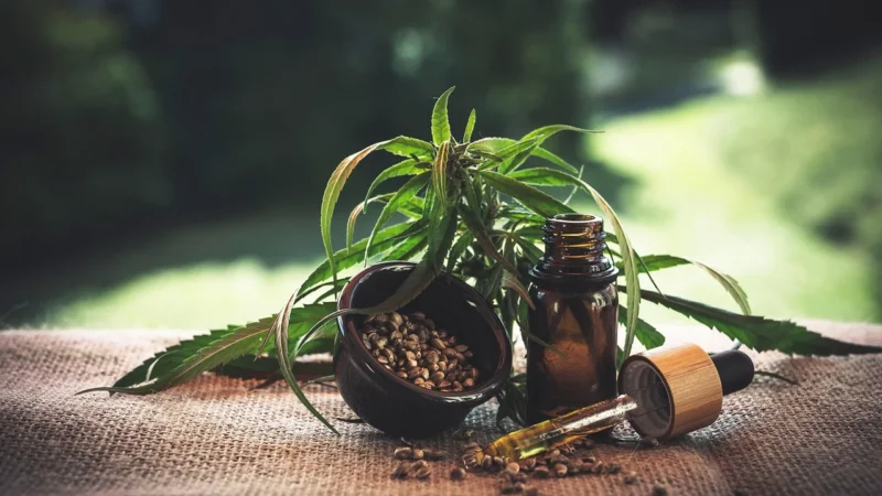 Intenson Cannabi Nature Olej Cbd Klasyczny 10% 10ml Wysyłamy Natychmiast Produkt Dostępny Kurier 24H