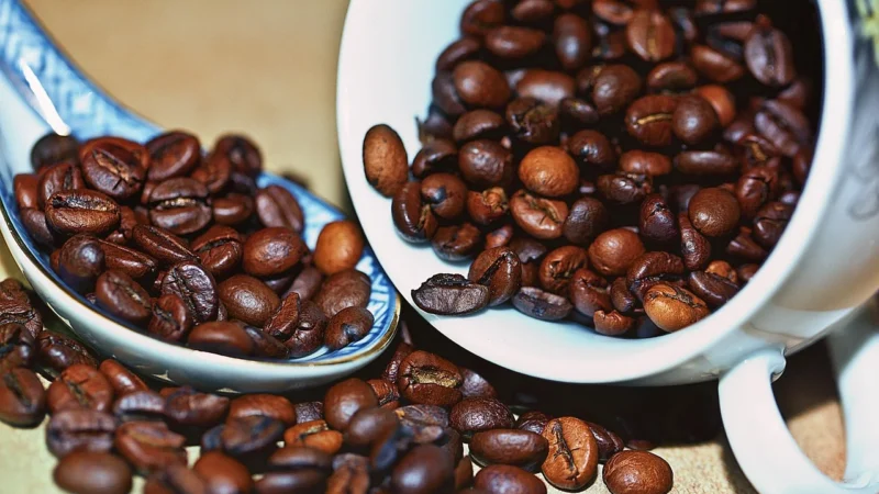 Jacobs Kawa Ziarnista Honduras Arabica Barista 4Kg