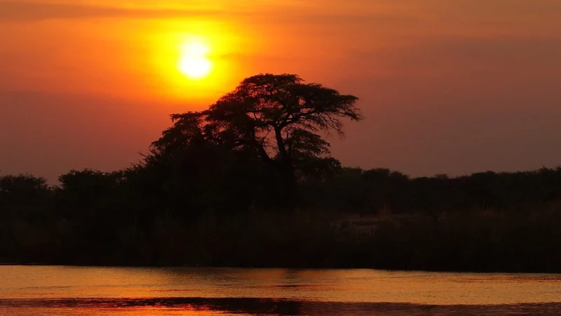 Kapsułki Delta Q Origins Timor 10Szt
