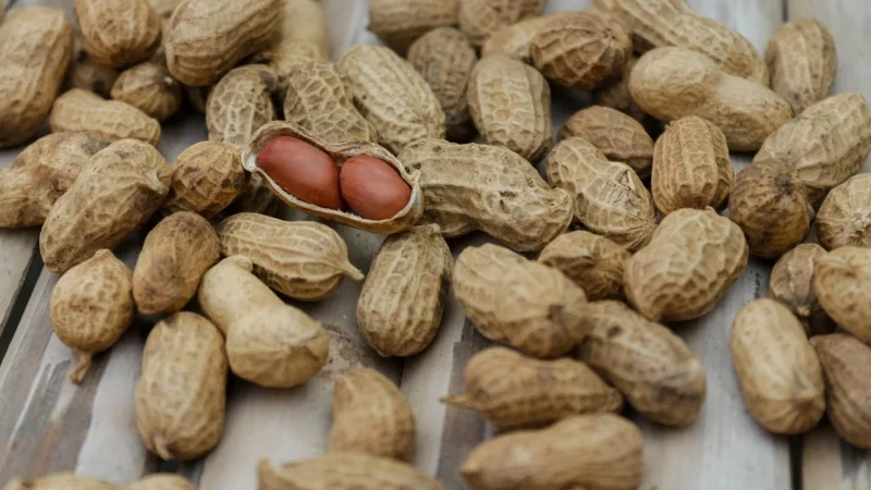 Kapsułki Tassimo Jacobs Big Pack 63Szt Kardamon