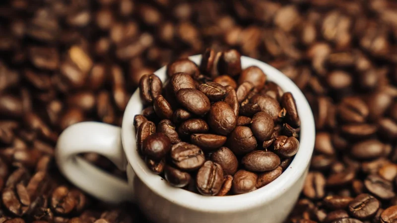 Kapsułki Tassimo Jacobs Megapack Mix Smaków Latte