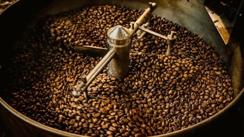 Kapsułki Tassimo Zestaw Morning Crema100SztGratis