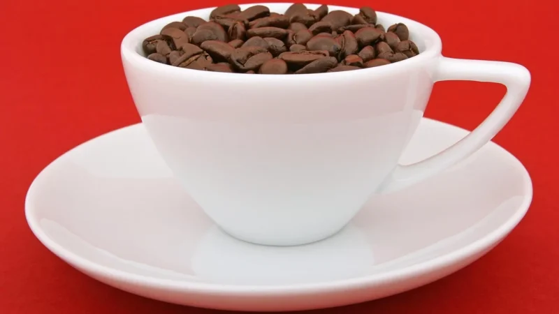 Kawa Advocat Kawa Smakowa 100g Świeżo Palona