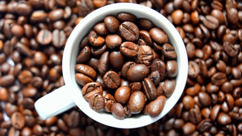 Kawa Brazylia 1kg Świeżo Palona 100% Arabica