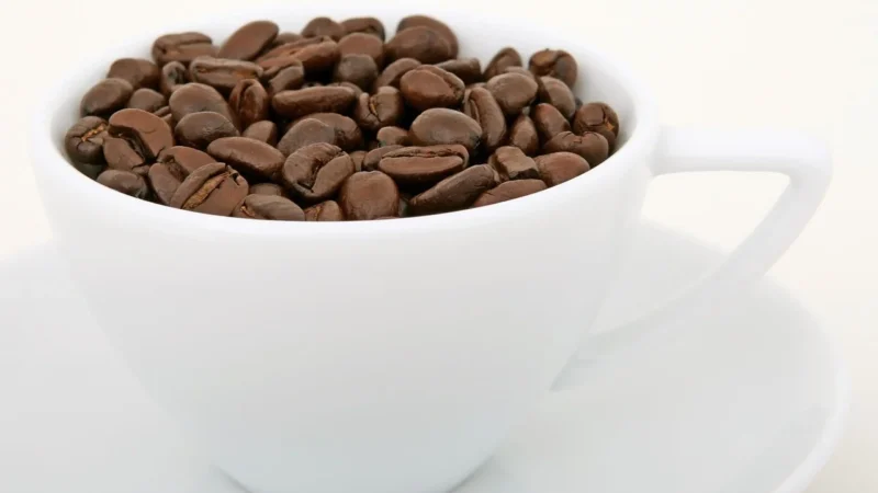 Kawa El Salvador 1kg Świeżo Palona 100% Arabika