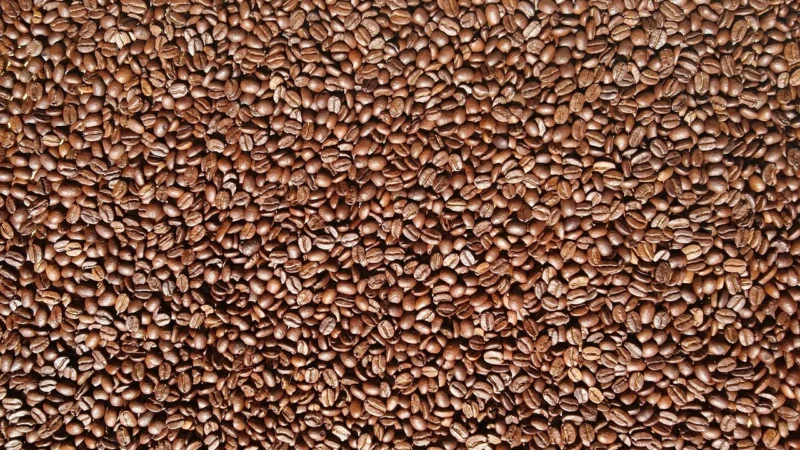 Kawa Hard Beans Gorilla Blend 250g Ziarnista