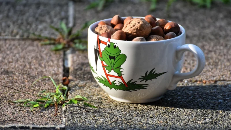 Kawa Hawajskie Orzechy Kawa Smakowa 500g Okazja