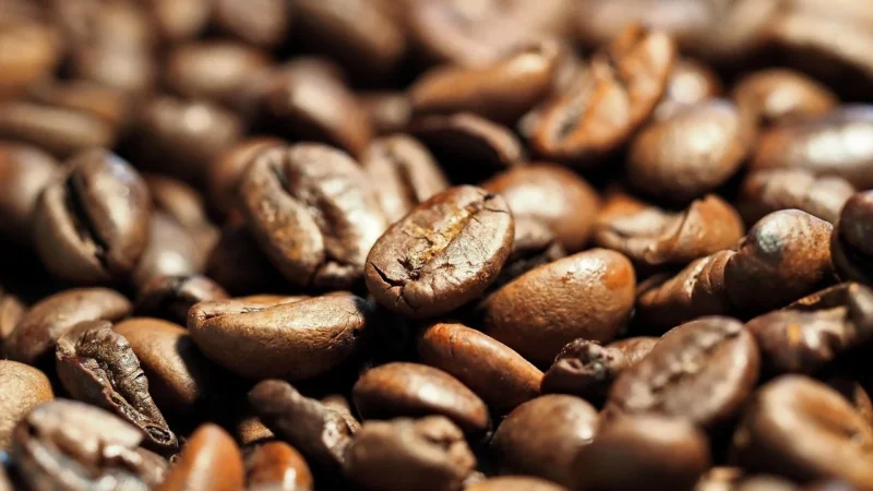 Kawa La Storia Crema E Gusto 6Kg Świeżo Palona