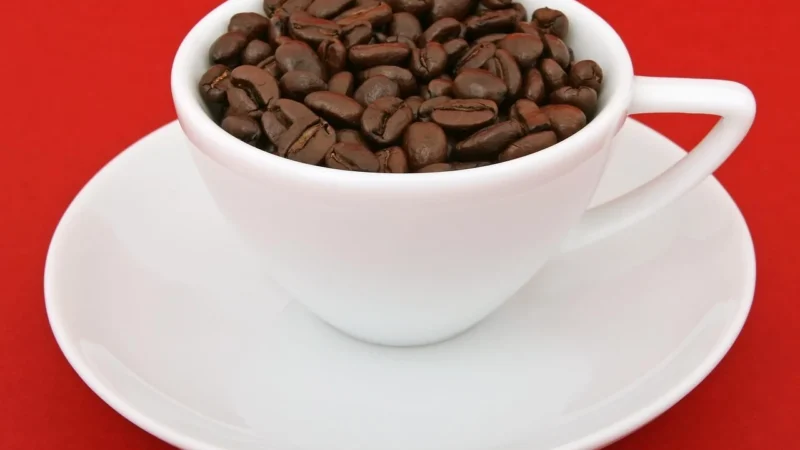 Kawa Mielona Astra More Intense 250g