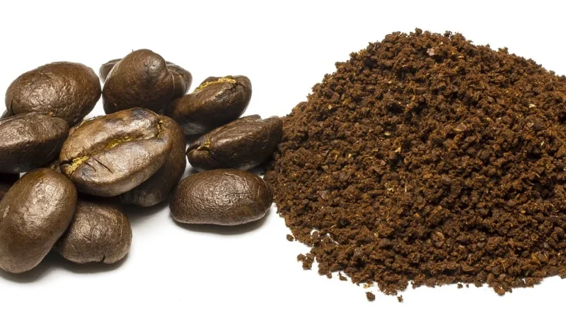 Kawa Mielona Brazylia Santos 100% Arabica 500g