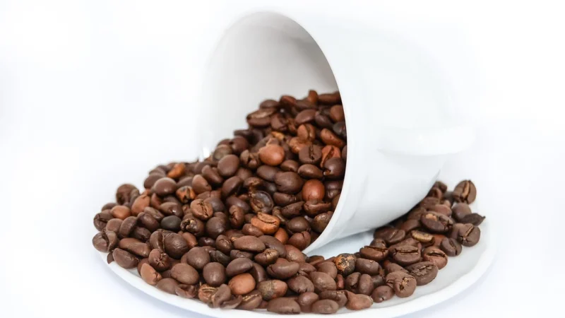Kawa Mielona Fort 500g