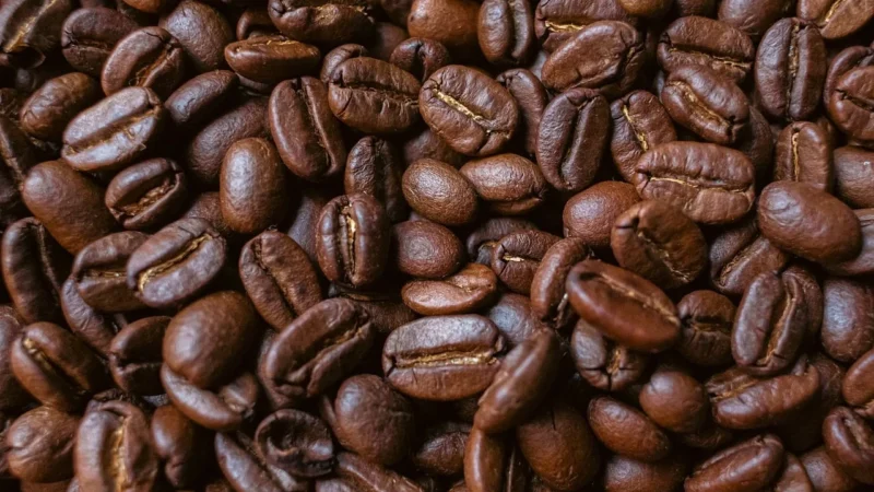 Kawa Naturalna Arabica Dominicana Barahona A 100g